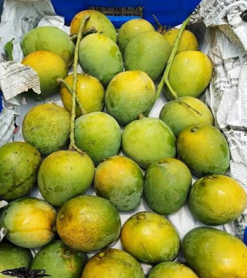 হিমসাগর আম