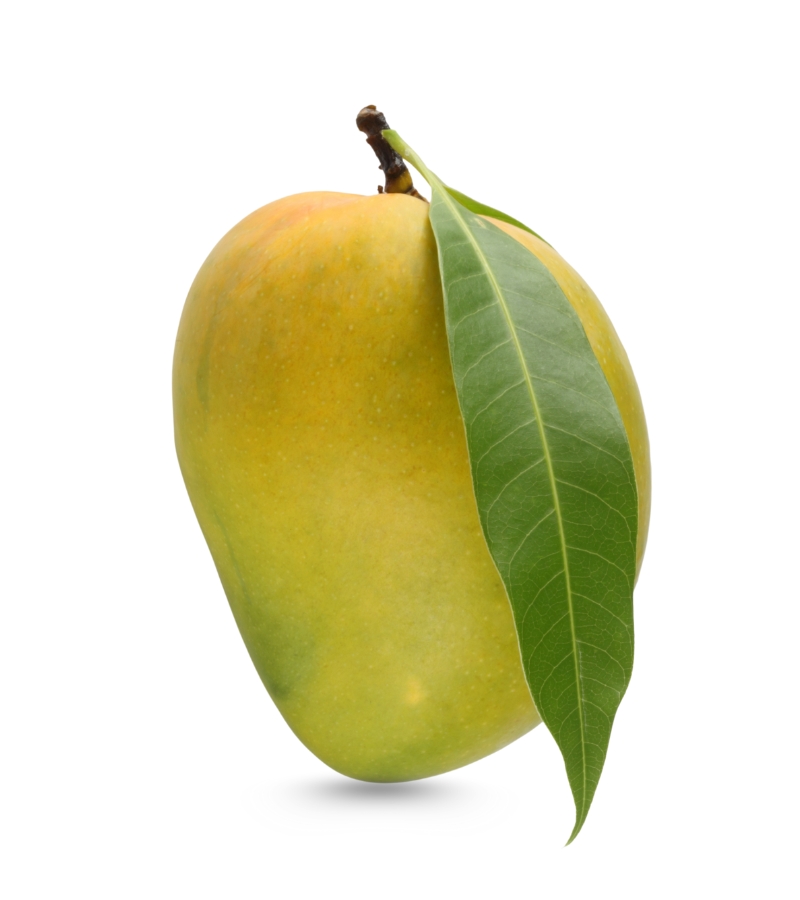 -আম-4.jpg
