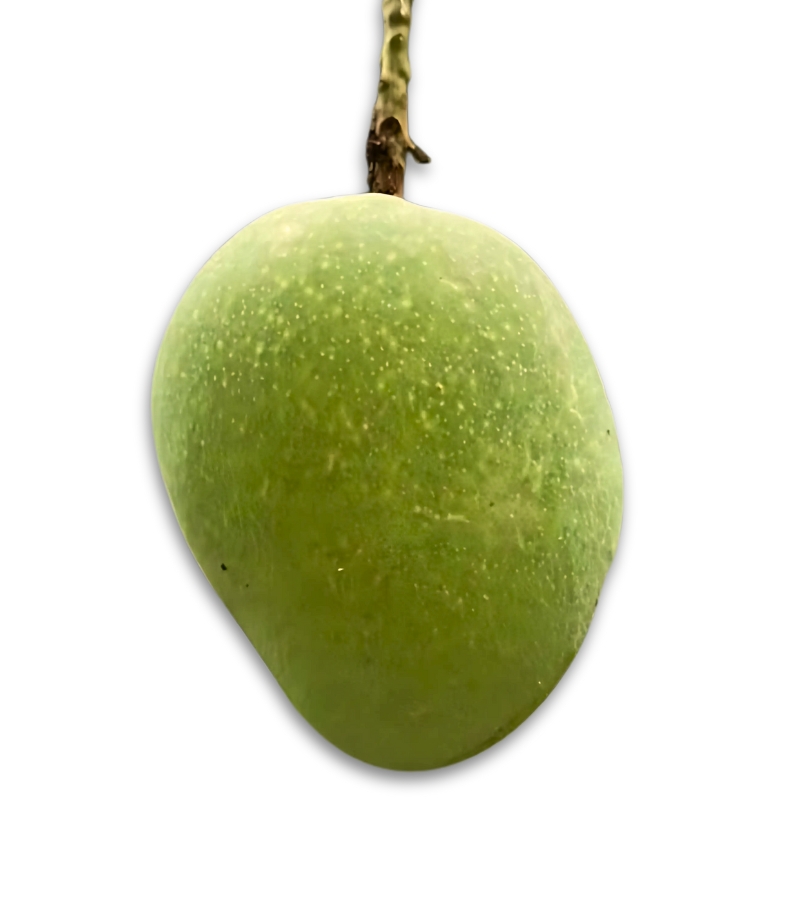 -আম.jpg