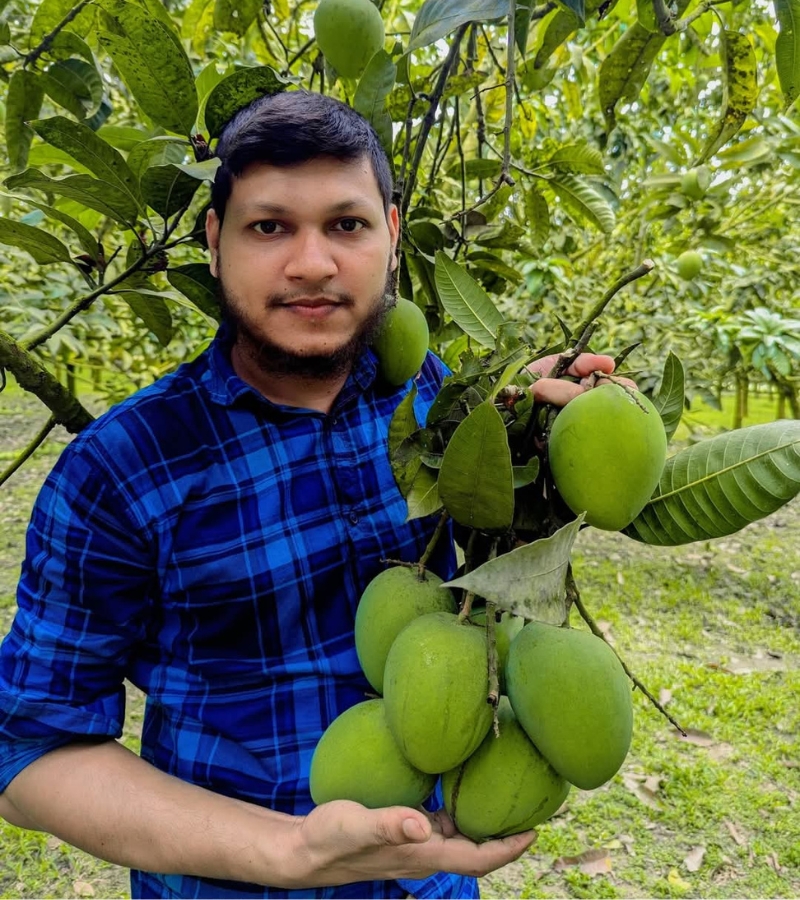 হিমসাগর আম 6