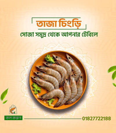 তাজা চিংড়ি