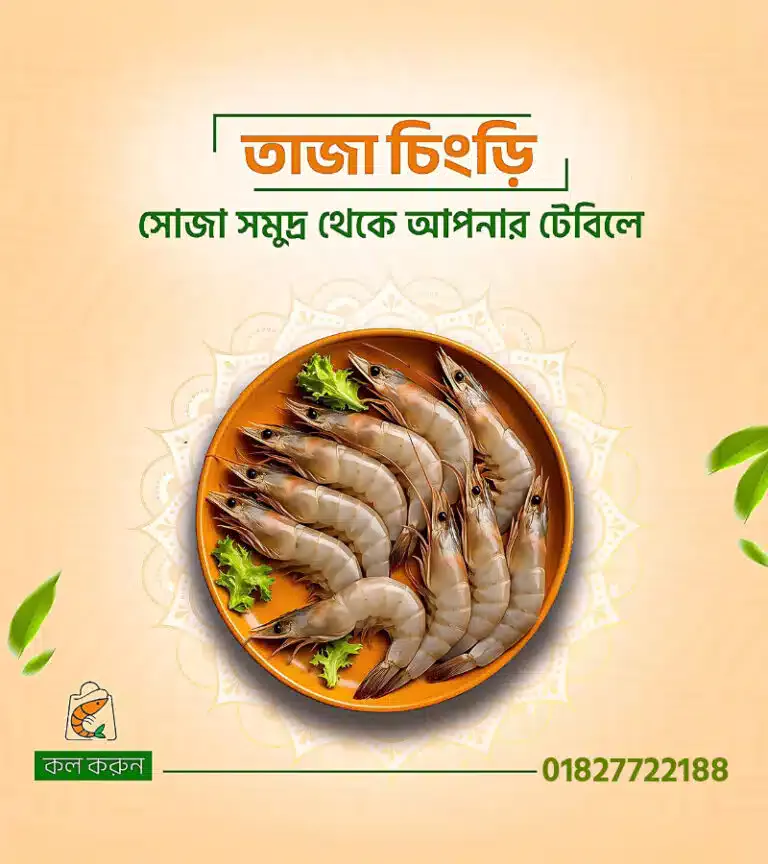 তাজা চিংড়ি