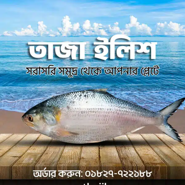 তাজা ইলিশ