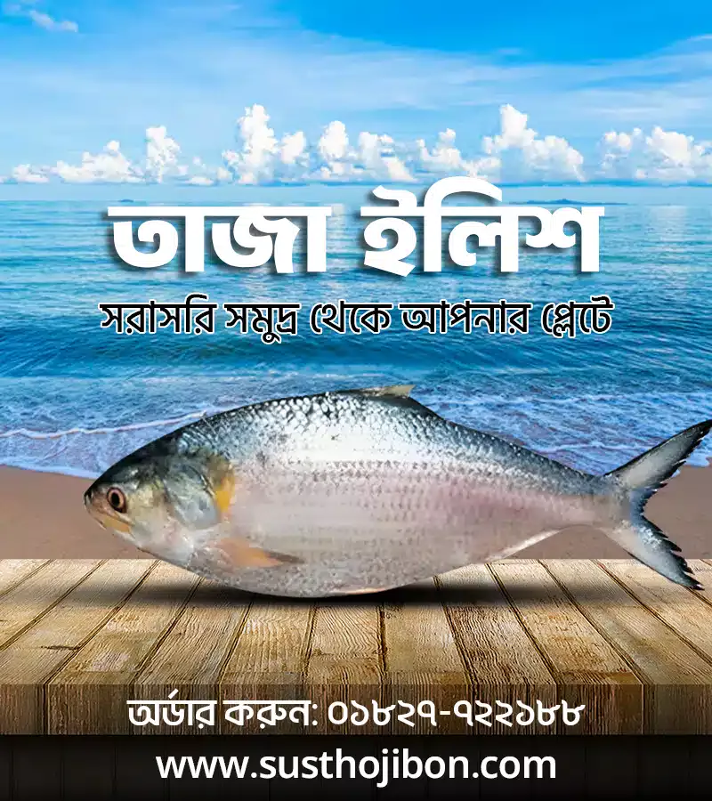 তাজা ইলিশ- Fresh Ilish তাজা ইলিশ