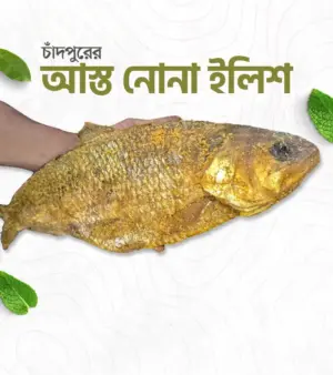 আস্ত নোনা ইলিশ