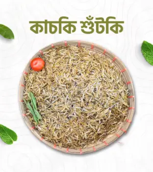 কাচকি শুঁটকি