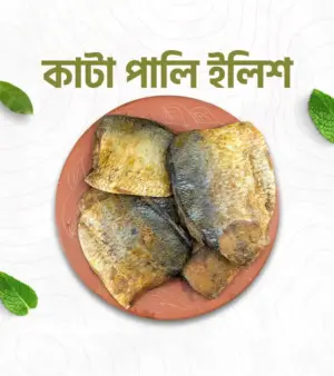 কাঁটাফালি নোনা ইলিশ