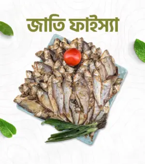 জাতি ফাইস্যা