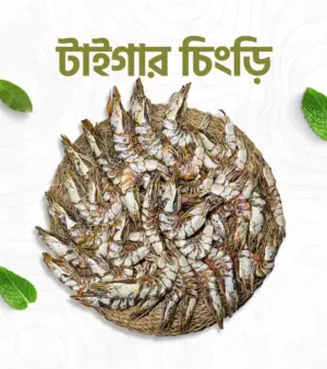 টাইগার চিংড়ি