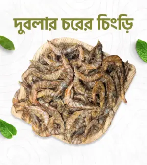 দুবলার চরের চিংড়ি