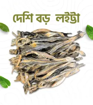 দেশি বড় লইট্টা