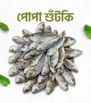 পোপা শুটকি