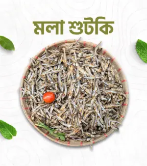 মলা শুটকি