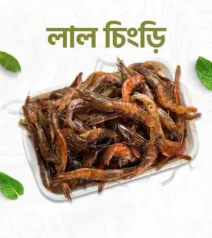 লাল চিংড়ি