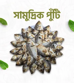 সামুদ্রিক পুটি