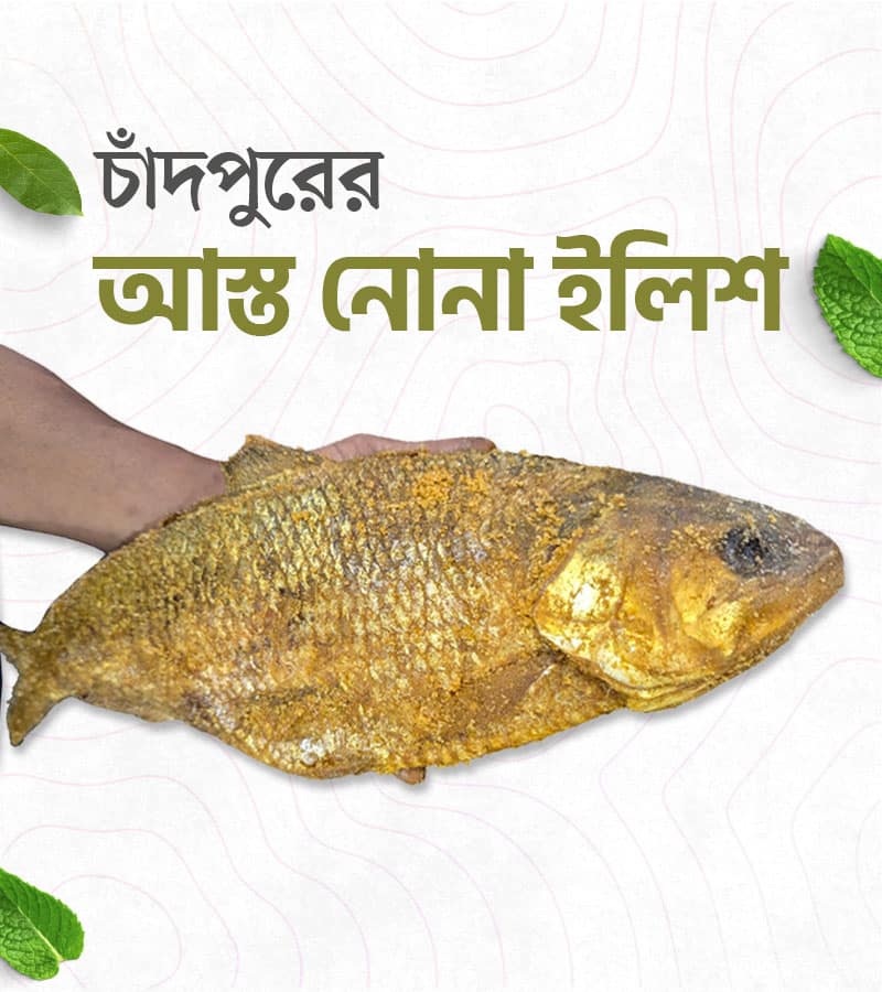 আস্ত-নোনা-ইলিশ