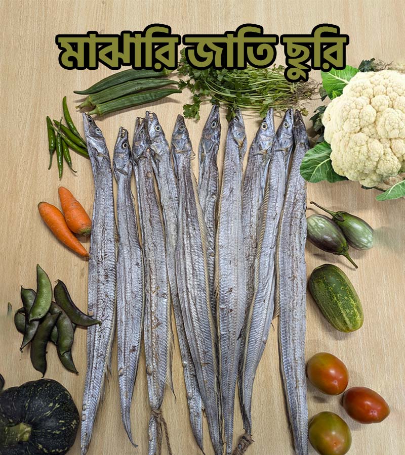 মাঝারি জাতি ছুরি- 500_গ্রাম